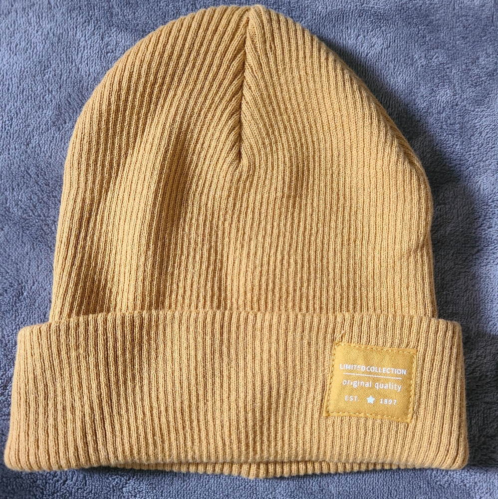 Zara Limited Collection beanie